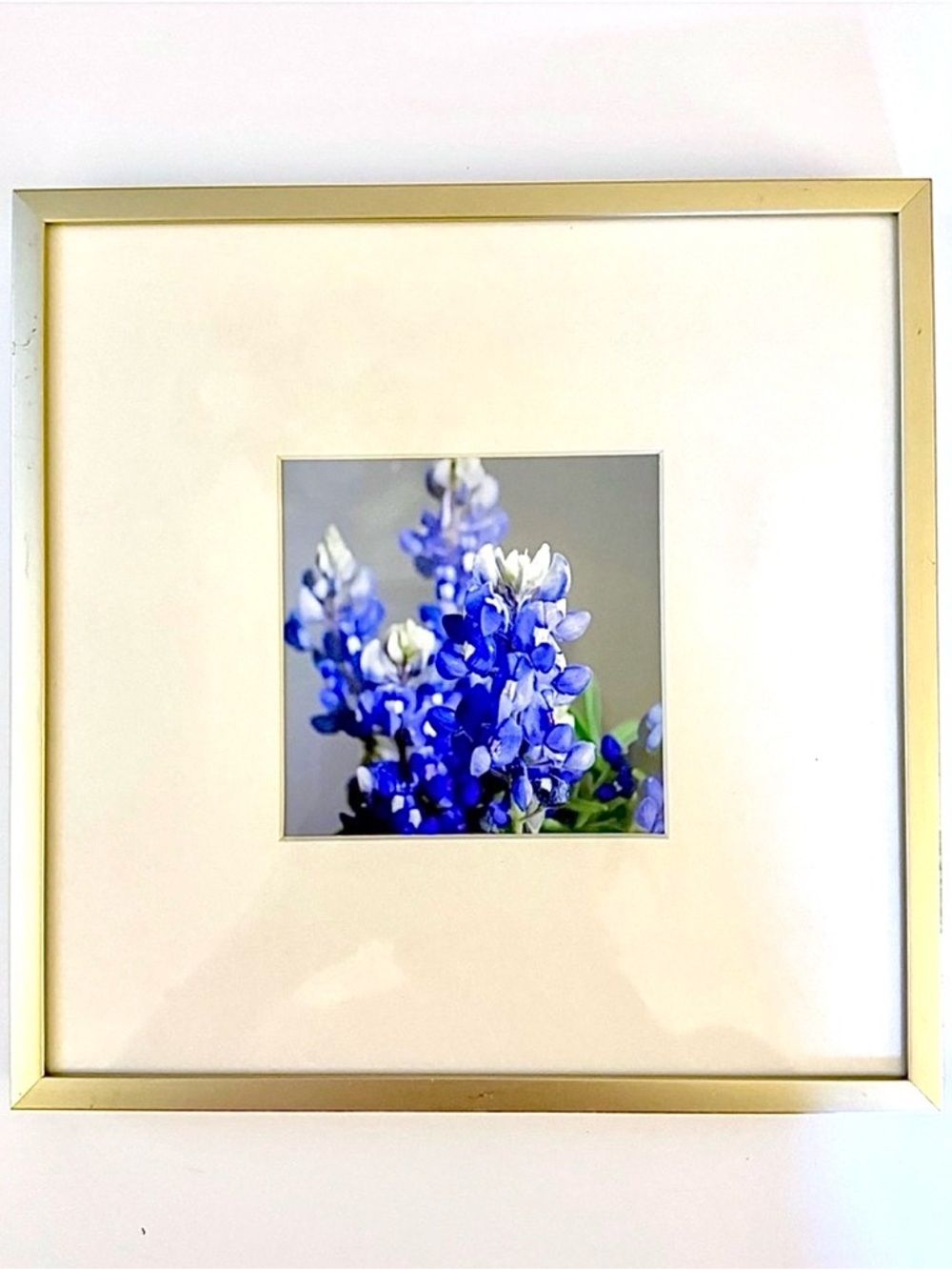 🍃🪻🔥BEST SELLER🔥 🪻🍃 Elegant 8x8 Gold Frame with 4x4 Bluebonnet Print